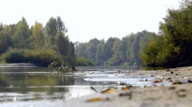 Orman göl kıyısında yürüyüşe sonbahar doğa manzara,