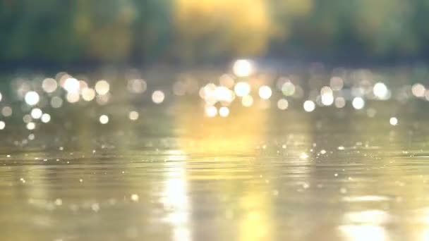 Vue Déconcentrée Une Surface Eau Ondulée Avec Beau Bokeh Éblouissements — Video