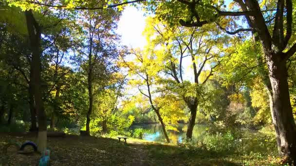 Padající Barevné Podzimní Listí Překryvný Obrázek Cesty Zalesněné Lesní Stezku — Stock video