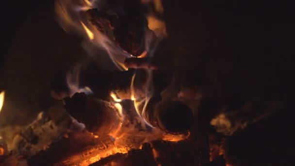 Feu Bois Brûlé Dans Four Charbon Rouge — Video