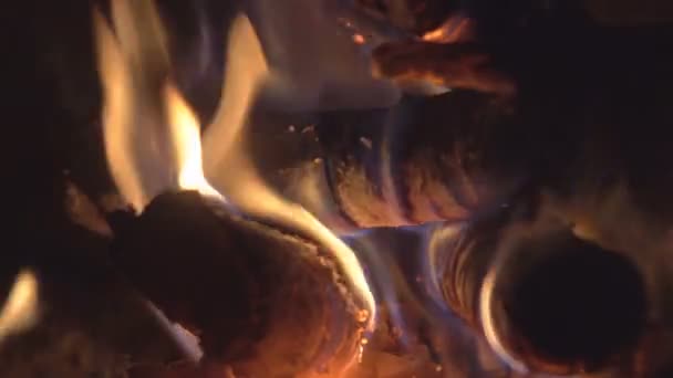 Bonfire Wood Burning Furnace Red Coal — Stock Video