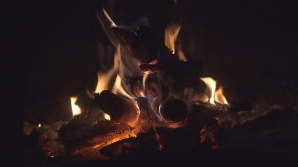 Ahşap Fırın Kırmızı Kömür Yanma Dan Şenlik Ateşi — Stok video