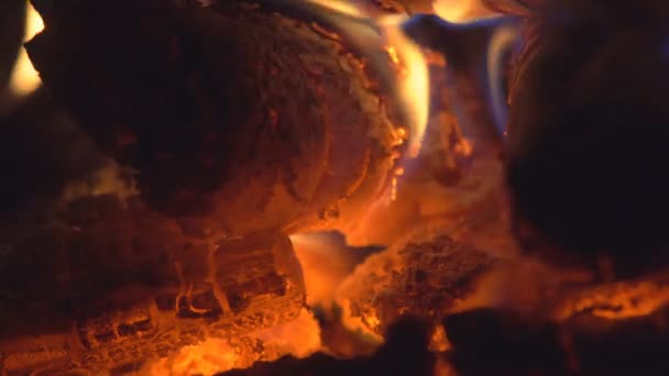 木材燃焼炉と赤の石炭から焚き火 — ストック動画