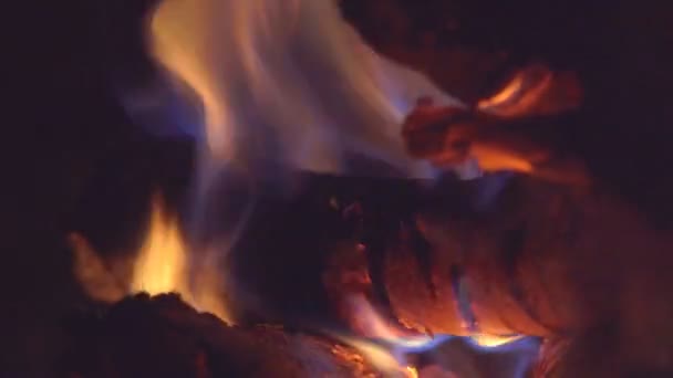 Bonfire Wood Burning Furnace Red Coal — Stock Video