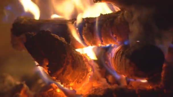 Vreugdevuur Van Hout Branden Oven Rode Kolen — Stockvideo