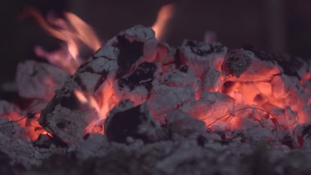 Φωτιά Από Ξύλα Στο Καμίνι Και Κόκκινο Άνθρακα — Αρχείο Βίντεο
