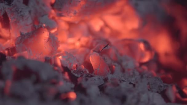 Φωτιά Από Ξύλα Στο Καμίνι Και Κόκκινο Άνθρακα — Αρχείο Βίντεο
