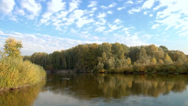 Paisaje Natural Otoñal Caminando Por Orilla Del Lago Del Bosque — Vídeo de stock