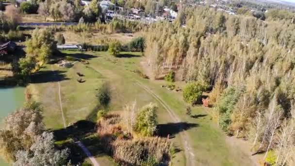 Fotografía aérea del paisaje otoñal — Vídeo de stock