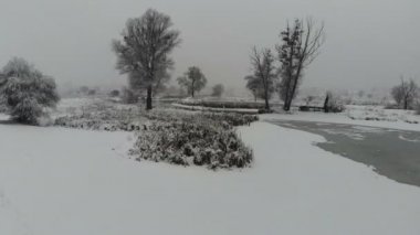 Karla kaplı kış orman üzerinde hava fotoğrafçılığı uçuş. Kış manzarası kar büyük miktarda ağaçlarının dalları üzerinde.