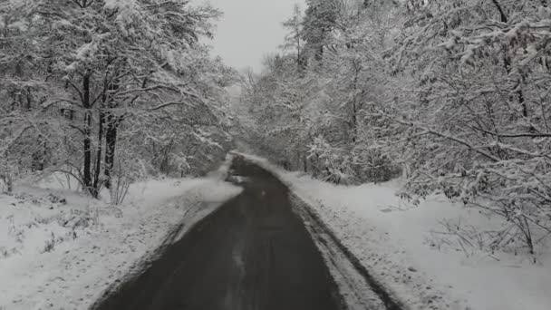 Vol Photographie Aérienne Dessus Forêt Hivernale Enneigée Paysage Hivernal Une — Video