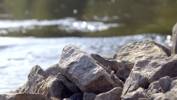 Pedras Junto Rio Grandes Pedras Margem Rio Com Rápido Fluxo — Vídeo de Stock