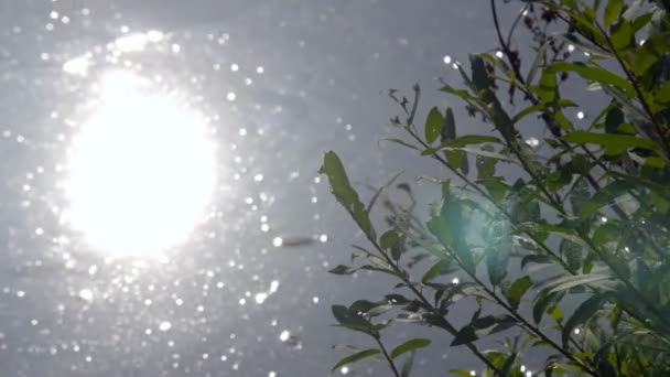 Vue Déconcentrée Une Surface Eau Ondulée Avec Beau Bokeh Éblouissements — Video