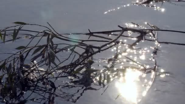 Defocused Shot Νερό Κυματιστή Επιφάνεια Ένα Όμορφο Bokeh Του Ήλιου — Αρχείο Βίντεο