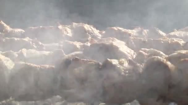 Τηγάνισμα Χοιρινό Σουβλάκι Πάνω Από Ένα Μαγκάλι Γυρίζοντας Κρέας Στα — Αρχείο Βίντεο