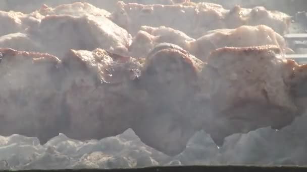 Schweinefleisch Auf Einem Spieß Über Einem Kohlenbecken Braten Fleisch Über — Stockvideo