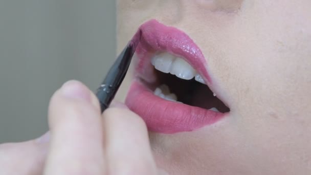 Professionelles Lippen Make-up — Stockvideo