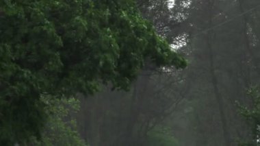 Şiddetli bahar yağmuru yolda araba ve yoldan geçen insanlar ile sokakları sel.