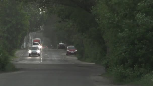 Fuertes Lluvias Primavera Inundan Las Calles Con Autos Carretera Gente — Vídeos de Stock
