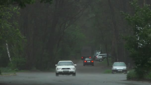 Heavy Spring Rain Floods Streets Cars Road People Passing — Stock Video
