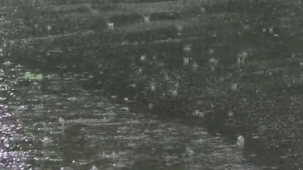 De fortes pluies printanières inondent les rues avec des voitures sur la route et des passants .