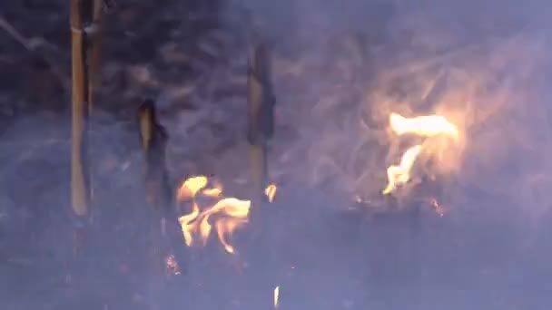 Attraversate Fiamme Fumo Erba Secca Brucia Sul Prato Campagna Tramonto — Video Stock