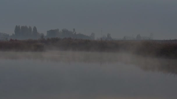 Утренний Туман Над Рекой Туманная Река Рано Утром Пейзажный Туман — стоковое видео