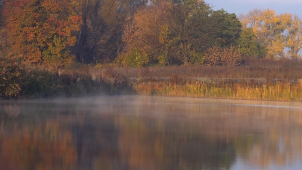 Brume Matinale Dessus Rivière Fog River Tôt Matin Brouillard Paysager — Video