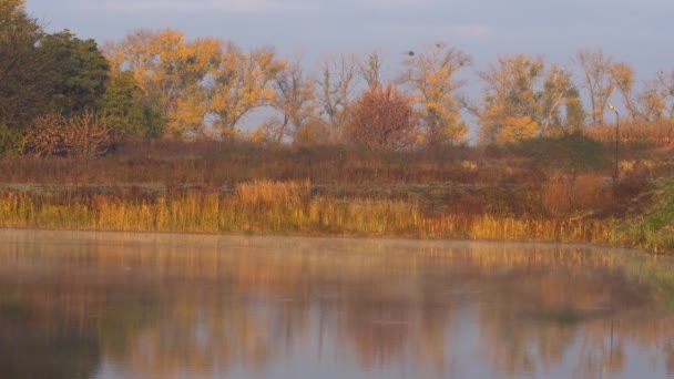 Morning Mist Water Rivier Mist Rivier Vroege Ochtend Mist Van — Stockvideo