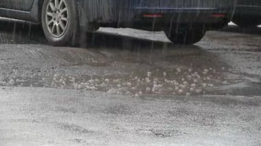 Çok uzun ıslak damla sağanak yağmur şehir parkında ağaçlar ve çim düştü.