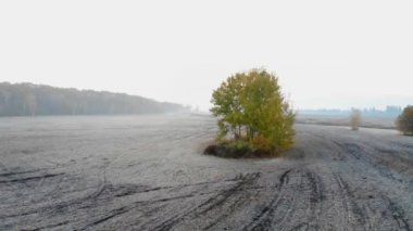 Havadan drone, koyu puslu bir orman Nehri ve silueti ağaçları ile günbatımı büyük Wilson Falls Şelalesi üzerinde düşük uçan vurdu.