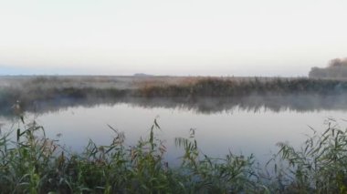Hava fotoğrafçılığı soğuk kalın sis sonbahar serin nehrin üstüne yükselen. Nehir boyunca kamera hareketi.