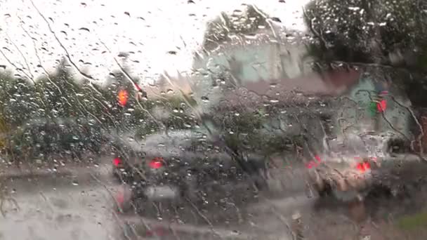 Zware Regenval Een Stortbui Het Stadspark — Stockvideo