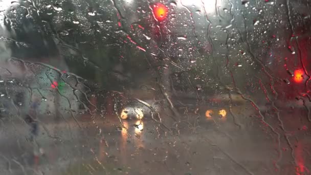 Fortes Pluies Une Averse Dans Parc Ville — Video