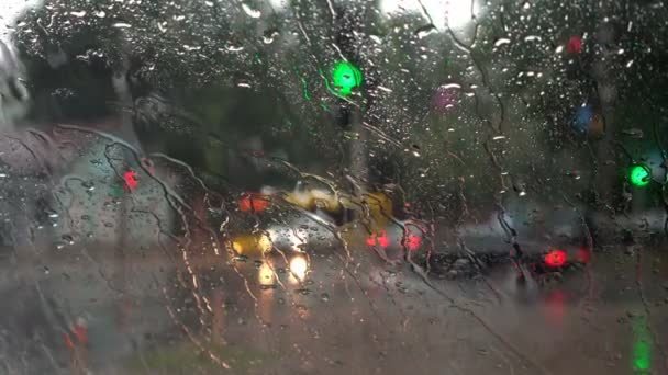 Chuva Forte Aguaceiro Parque Cidade — Vídeo de Stock