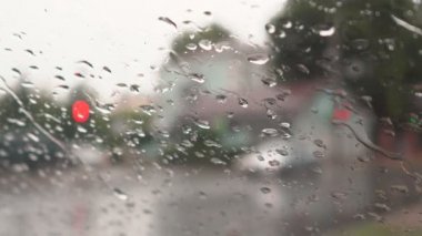 Şiddetli yağmur, Şehir Parkı içinde şiddetli bir yağmur