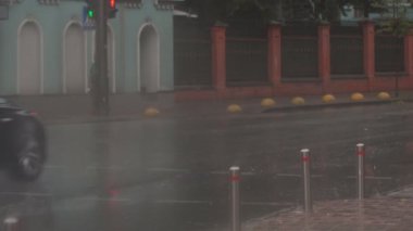 Şiddetli yağmur, Şehir Parkı içinde şiddetli bir yağmur