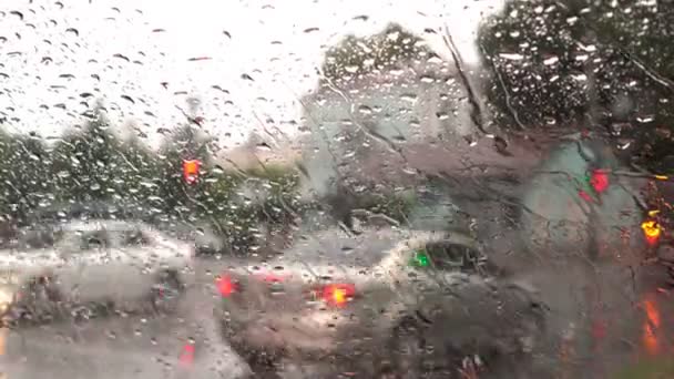 都市公園での土砂降り大雨 — ストック動画