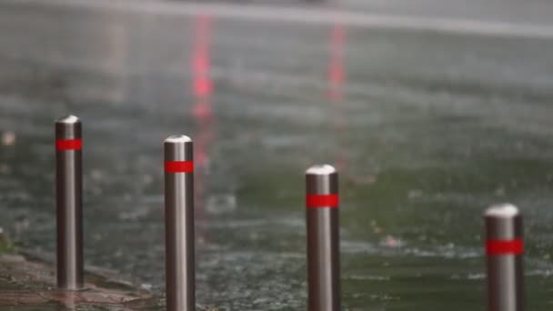 Piogge Abbondanti Acquazzone Nel Parco Cittadino — Video Stock