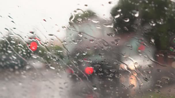 都市公園での土砂降り大雨 — ストック動画