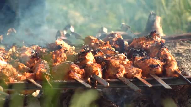 Primo Piano Spiedini Carne Maiale Carbonizzata Carbone Caldo Alla Griglia — Video Stock