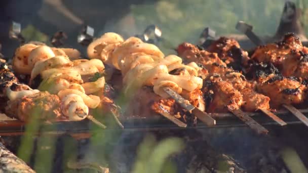 Primo Piano Spiedini Carne Maiale Carbonizzata Carbone Caldo Alla Griglia — Video Stock