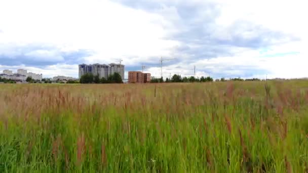 Paisaje Urbano Envergadura Vista Del Movimiento Cámara Desde Detrás Hierba — Vídeo de stock