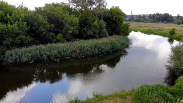 Flygfoto Över Floden Rörelse Längs Böjar Och Vattenytan Och Reflektion — Stockvideo