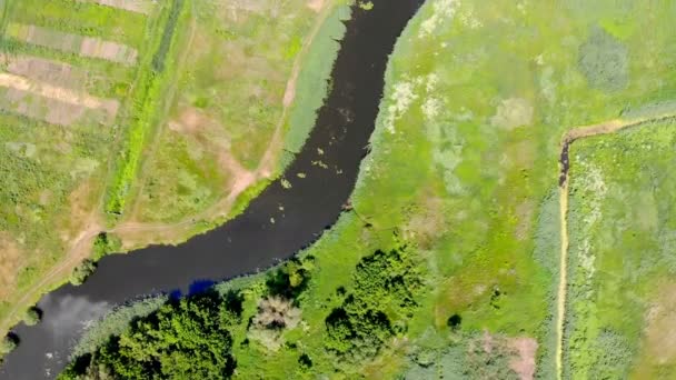 Luchtfoto Van Rivier Beweging Langs Bochten Wateroppervlak Reflectie Van Zon — Stockvideo