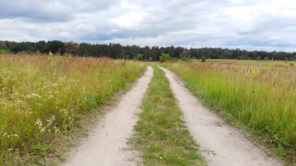 Sazlık Yeşil Yaz Otların Arasında Toprak Yol Boyunca Bisiklet Üzerinde — Stok video