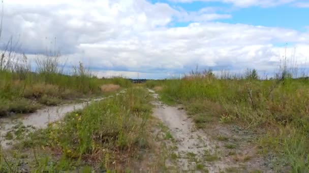 Tráfico Bicicleta Largo Camino Tierra Entre Juncos Hierba Verde Verano — Vídeo de stock