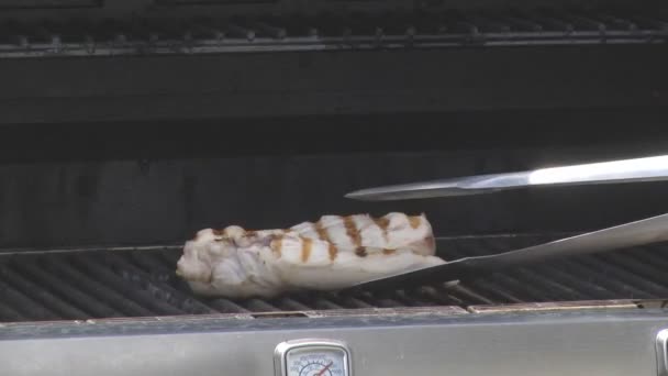 Filetes Pollo Parrilla Filete Pollo Parrilla Con Hierbas Especias Vista — Vídeo de stock