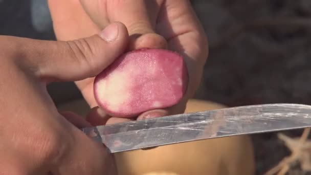 Nakrájejte Bramborové Ovoce Nožem Muž Bramborovým Ovocem Dlaních Rozřízne Kusy — Stock video
