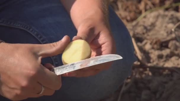 Skära Potatis Frukt Med Kniv Man Som Håller Potatis Frukt — Stockvideo